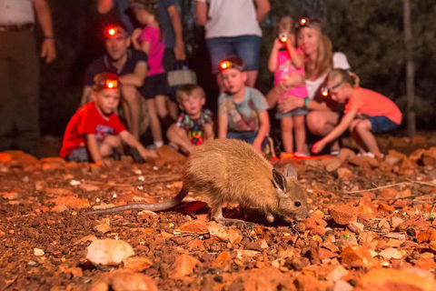 Alice Springs Desert Park Nocturnal Tour - Attractions Brisbane 1