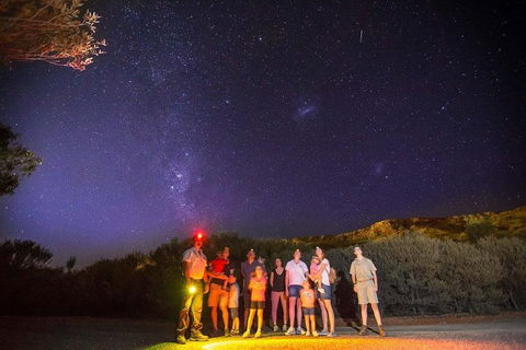 Alice Springs Desert Park Nocturnal Tour - Attractions Brisbane 2