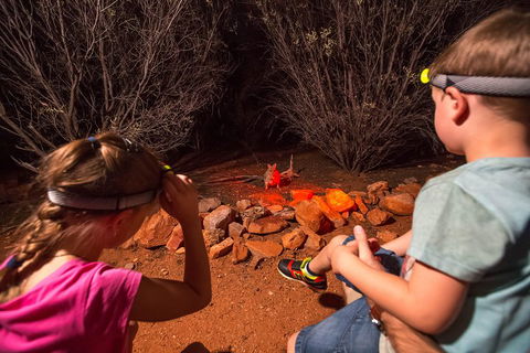 Alice Springs Desert Park Nocturnal Tour - Attractions Brisbane 4