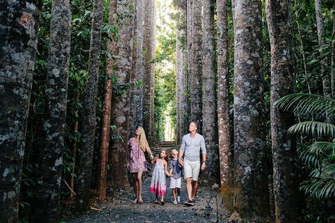 The Original Day Tour To Paronella Park, Lake Barrine And Millaa Millaa Falls - Attractions Brisbane 1