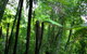 Private Tour: Blue Mountains Day Trip From Sydney - thumb 4