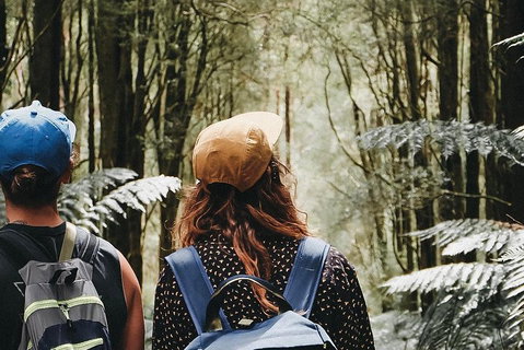 Small Group - 12 Apostles, Otways & Great Ocean Road Day Tour From Melbourne - Attractions Brisbane 3