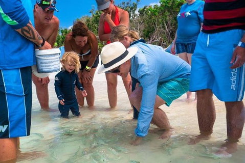 Whitehaven Beach And Hamilton Island Cruise - Attractions Brisbane 1