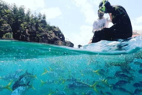 2 Night Small Group Whitsundays Sailing Adventure Aboard Mandrake - Attractions Brisbane 5