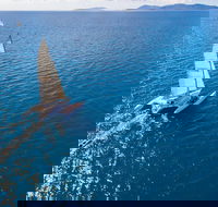 2-Night Whitsunday Islands Sailing Adventure on Trimaran Avatar - Attractions Brisbane