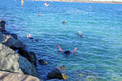 Wave Break Island Scuba Diving On The Gold Coast - Attractions Brisbane 1