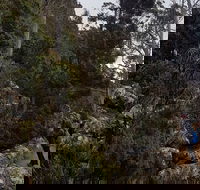 kunanyi / Mt. Wellington Guided Hiking Tour - Attractions Brisbane