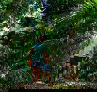 Full Day Daintree Rainforest and Mossman Gorge Tour - Attractions Brisbane
