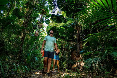 Full Day Daintree Rainforest and Mossman Gorge Tour