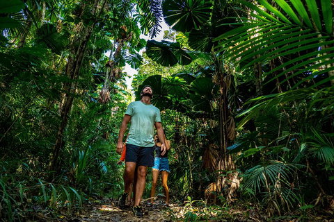 Full Day Daintree Rainforest And Mossman Gorge Tour - Attractions Brisbane 0