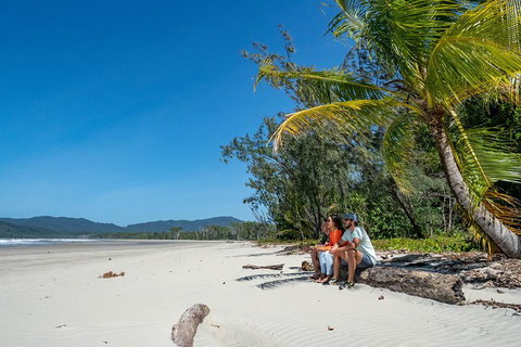 Full Day Daintree Rainforest And Mossman Gorge Tour - Attractions Brisbane 4