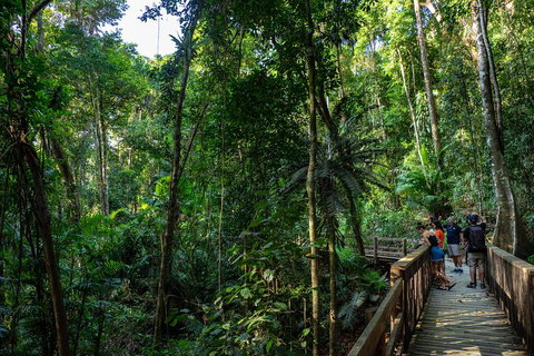 Full Day Daintree Rainforest And Mossman Gorge Tour - Attractions Brisbane 5