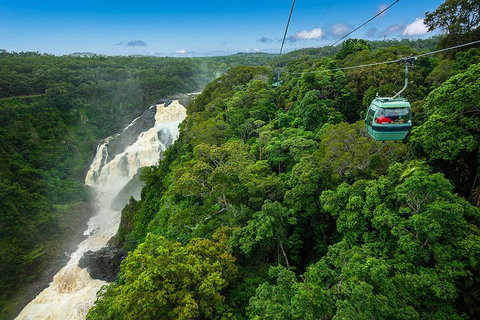 Cairns ATV Adventure Tour And Morning Skyrail - Attractions Brisbane 3