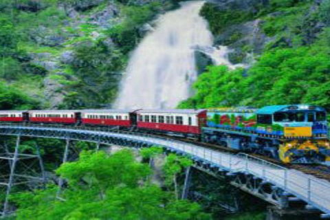 Cairns ATV Adventure Tour And Morning Train - Attractions Brisbane 4