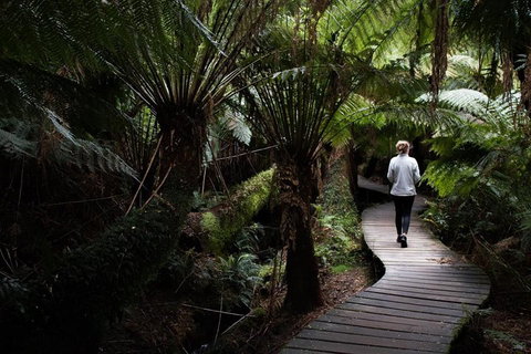 Private Tour Of Melbourne - Attractions Brisbane 2