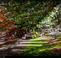Fully Inclusive Blue Mountains Private Tour inc Scenic World  Featherdale entry - Attractions Brisbane