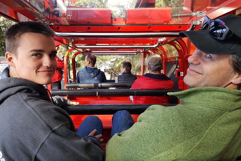 Fully Inclusive Blue Mountains Private Tour Inc Scenic World & Featherdale Entry - Attractions Brisbane 1