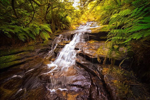 Fully Inclusive Blue Mountains Private Tour Inc Scenic World & Featherdale Entry - Attractions Brisbane 3