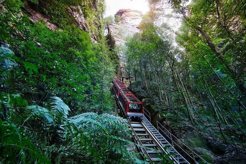 Fully Inclusive Blue Mountains Private Tour Inc Scenic World & Featherdale Entry - Attractions Brisbane 4