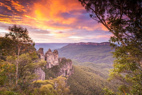 Fully Inclusive Blue Mountains Private Tour Inc Scenic World & Featherdale Entry - Attractions Brisbane 5