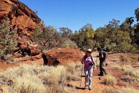 Palm Valley And Hermannsburg 1 Day 4WD Tour - Attractions Brisbane 1