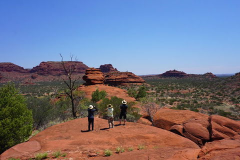 Palm Valley And Hermannsburg 1 Day 4WD Tour - Attractions Brisbane 2