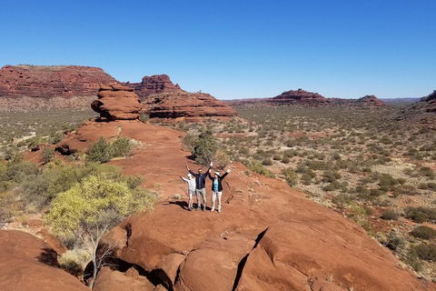 Palm Valley And Hermannsburg 1 Day 4WD Tour - Attractions Brisbane 3