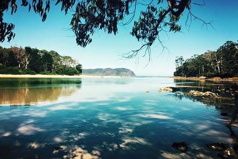 Full-Day Guided Bruny Island Tour From Hobart - Attractions Brisbane 1