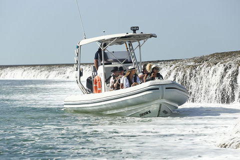 Cygnet Bay Explorer - Attractions Brisbane 2