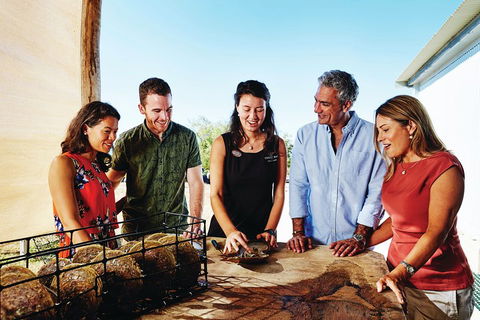 Cygnet Bay Explorer - Attractions Brisbane 4