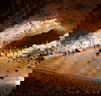 Windjana Explorer - Attractions Brisbane