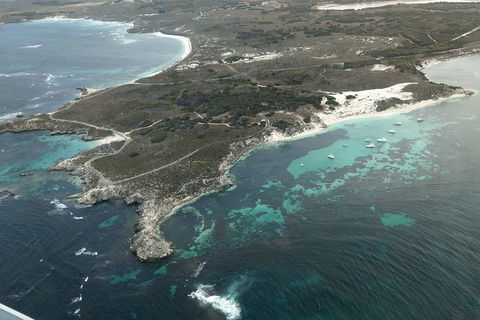 Full Day Tour By Seaplane To Rottnest Island Small Group Trip - Attractions Brisbane 5