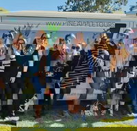 Full Day Mount Tamborine Winery Tour from Gold Coast - Attractions Brisbane