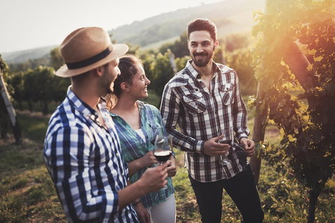 Full Day Mount Tamborine Winery Tour From Gold Coast - Attractions Brisbane 5