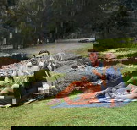 Mt Tamborine - Hinterland Wonders Self Guided - Attractions Brisbane