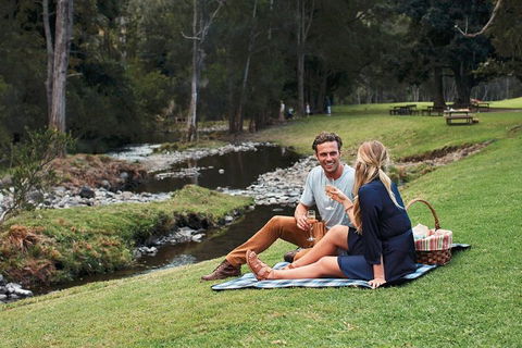 Mt Tamborine - Hinterland Wonders Self Guided - Attractions Brisbane 0