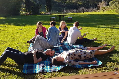 Mt Tamborine - Hinterland Wonders Self Guided - Attractions Brisbane 2