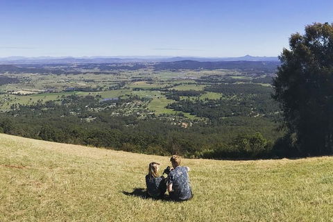 Mt Tamborine - Hinterland Wonders Self Guided - Attractions Brisbane 4