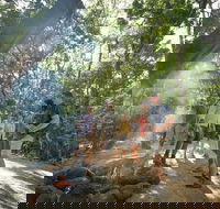 Mossman Gorge Adventure Day - Attractions Brisbane