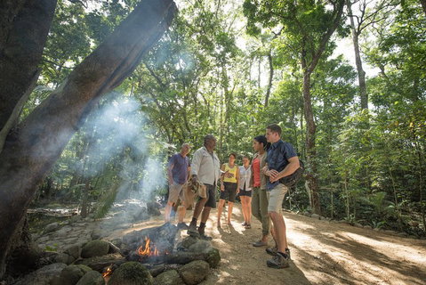 Mossman Gorge Adventure Day - Attractions Brisbane 0
