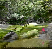 Daintree Dreaming Traditional Aboriginal Fishing from Cairns or Port Douglas - Attractions Brisbane