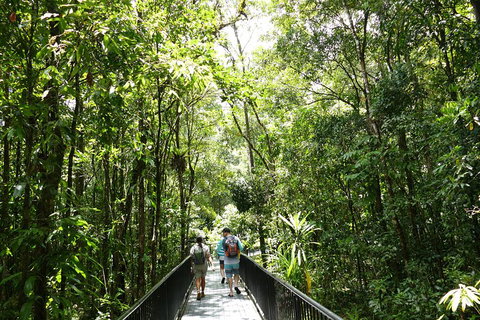 Daintree Dreaming Traditional Aboriginal Fishing From Cairns Or Port Douglas - Attractions Brisbane 3