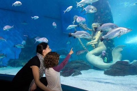 SEA LIFE Melbourne Aquarium Admission Ticket - Attractions Brisbane 4