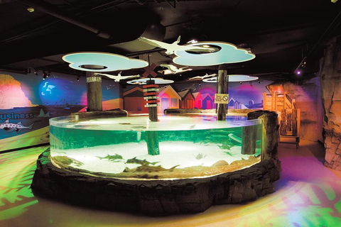 SEA LIFE Melbourne Aquarium Admission Ticket - Attractions Brisbane 5