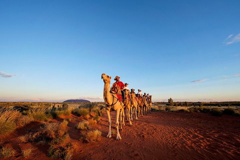 Uluru Small-Group Tour By Camel At Sunrise Or Sunset - Attractions Brisbane 3