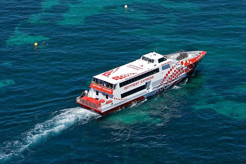 Discover Rottnest With Ferry & Bus Tour From Perth Or Fremantle - Attractions Brisbane 3