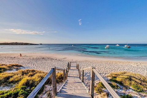 Discover Rottnest With Ferry & Bus Tour From Perth Or Fremantle - Attractions Brisbane 4