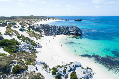 Discover Rottnest With Ferry & Bus Tour From Perth Or Fremantle - Attractions Brisbane 5