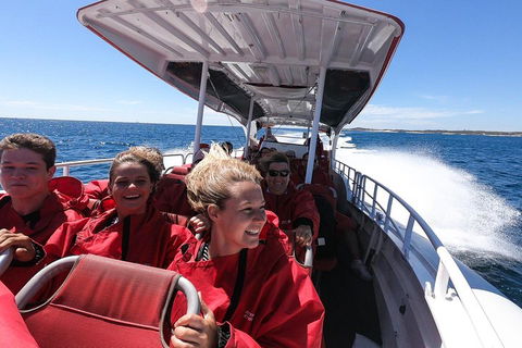 Adventure Rottnest Tour With Ferry & Adventure Cruise From Perth Or Fremantle - Attractions Brisbane 0