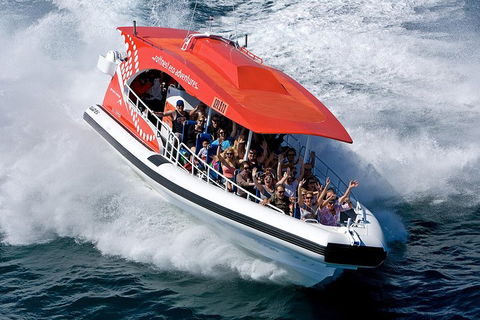 Adventure Rottnest Tour With Ferry & Adventure Cruise From Perth Or Fremantle - Attractions Brisbane 2